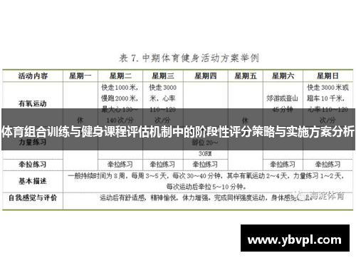 体育组合训练与健身课程评估机制中的阶段性评分策略与实施方案分析